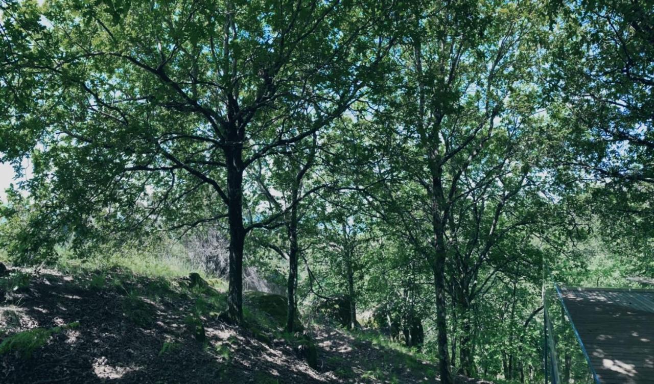 Oak Nature Виейра-ду-Минью Экстерьер фото