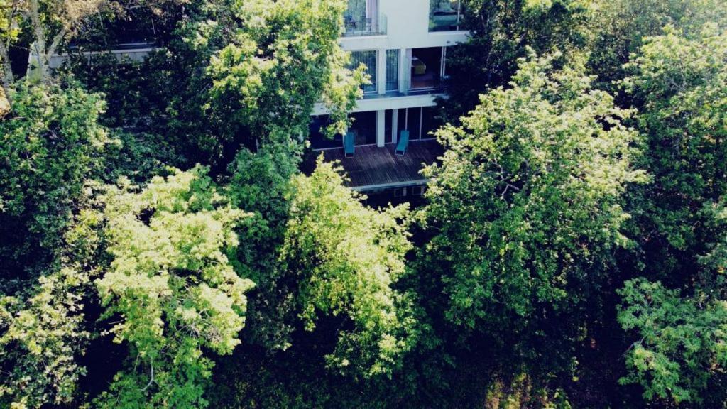 Oak Nature Виейра-ду-Минью Экстерьер фото